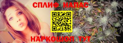 apvp Краснознаменск