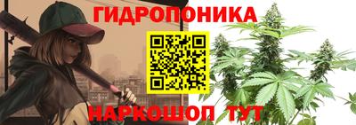 apvp Краснознаменск