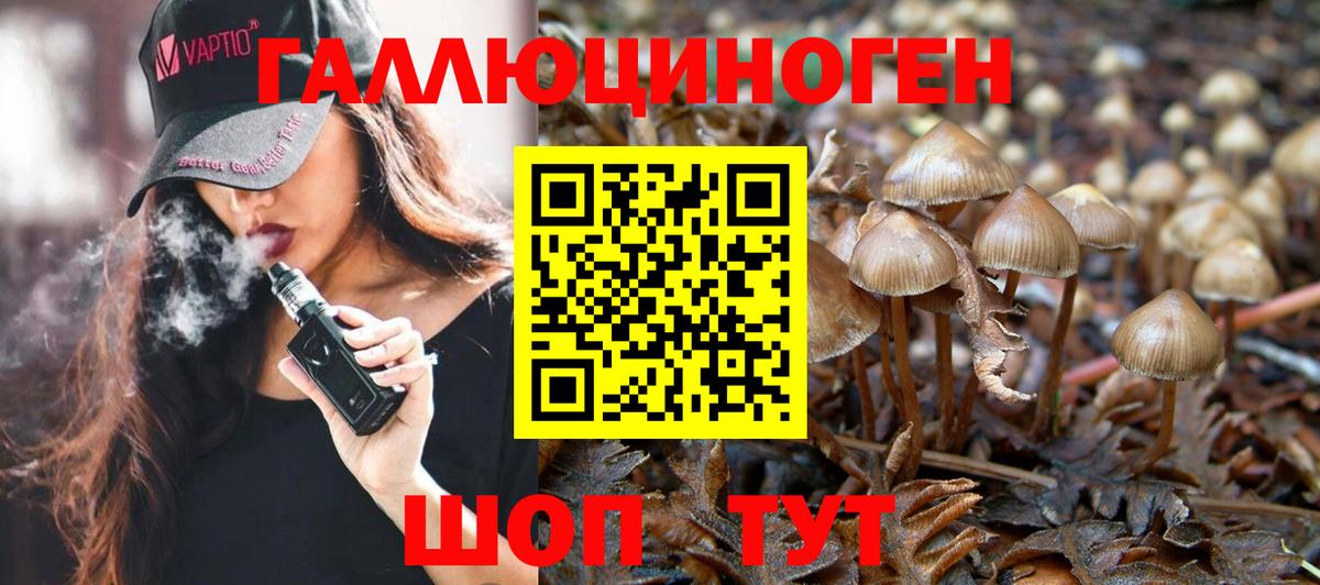 Псилоцибиновые грибы Psilocybine cubensis  Псилоцибиновые грибы Psilocybine cubensis  Вход с VPN  Качканар 