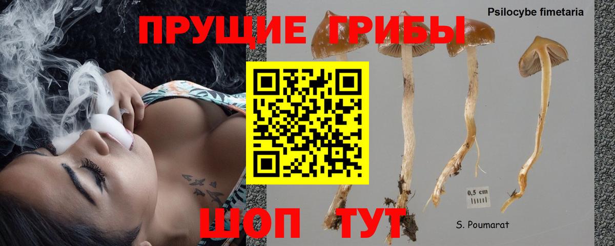 Псилоцибиновые грибы MAGIC MUSHROOMS Качканар